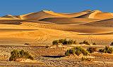 Imperial Sand Dunes_26531